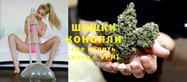 PSILOCYBIN Абинск