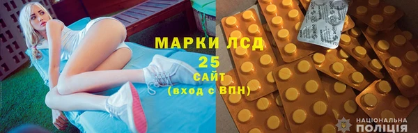 прущий лед Алзамай
