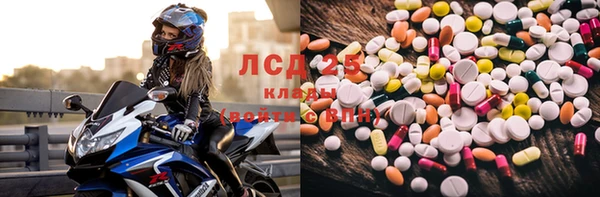 прущий лед Алзамай