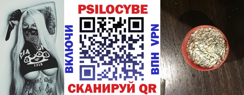 купить наркотик  Чишмы  OMG ССЫЛКА  Галлюциногенные грибы Psilocybe 